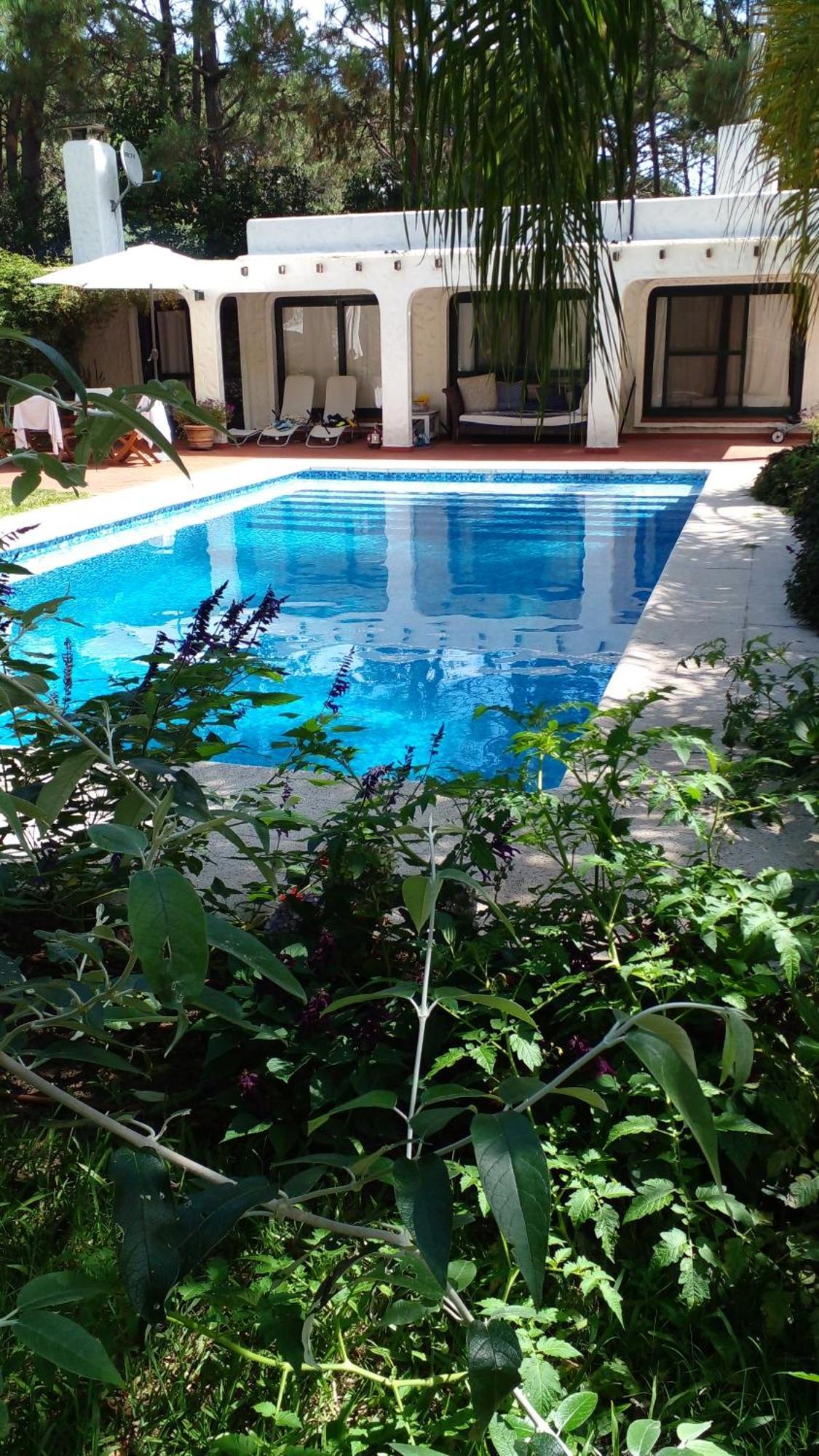 Casa Pura Vida Hotel ปุนตาบาเญนา ภายนอก รูปภาพ